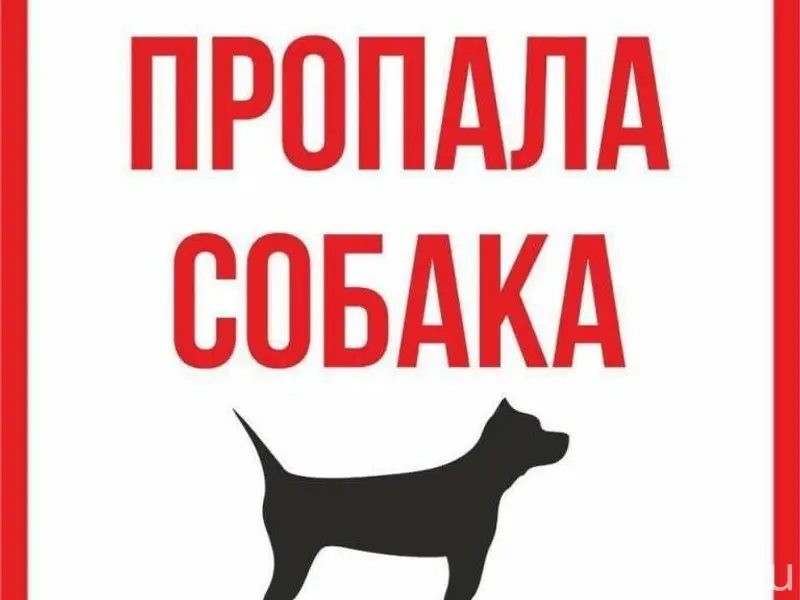 Прошу максимальный репост! В р...