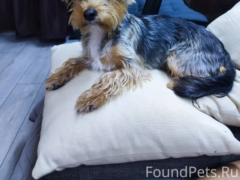 Убежала с 31.12 на 1...