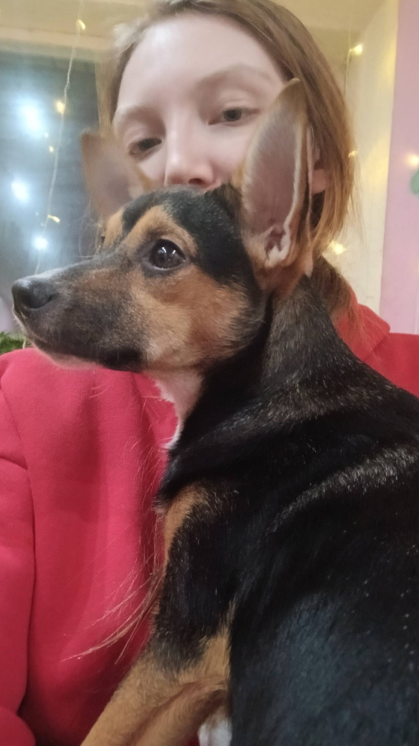 🆘 🆘 🆘 В новогоднюю ночь...