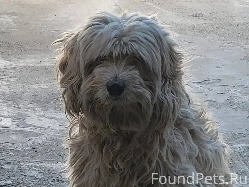 ПРОШУ МАКСИМАЛЬНЫЙ РЕПОСТ‼️ По...