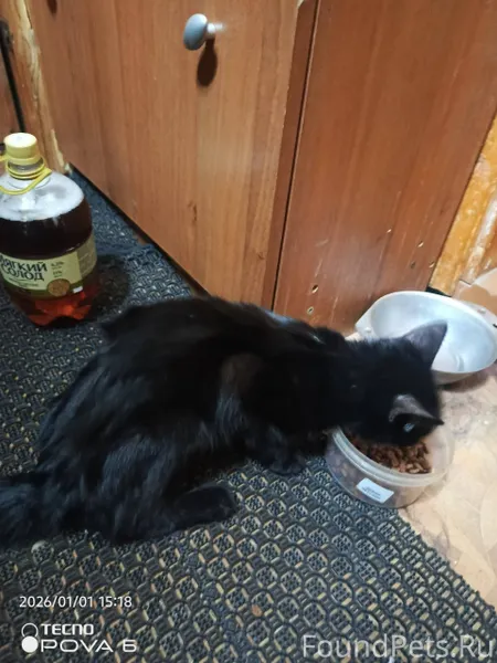 Всех с наступившим!!! В нового...