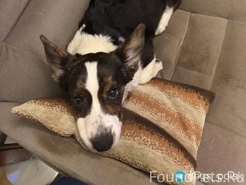 📍📍📍Москва, ВАО, Метрогородок О...