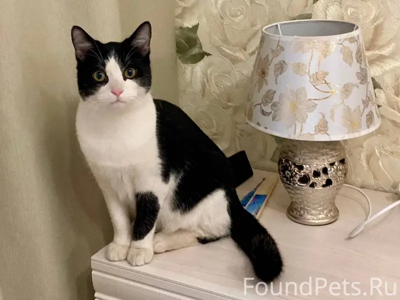 В районе улиц Васильковского/Э...