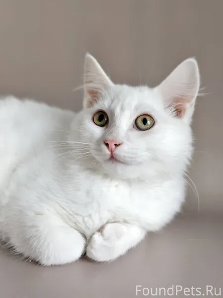 Помогите, пожалуйста, найти ко...