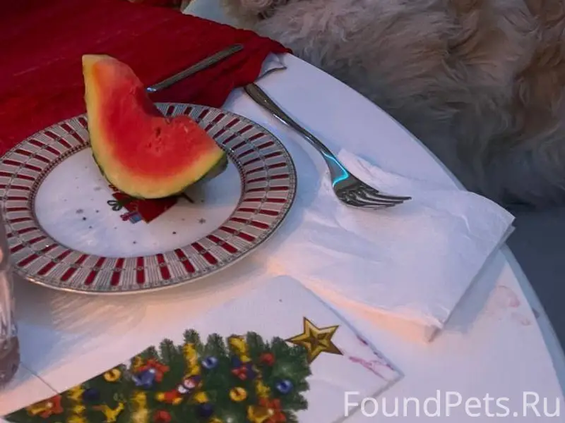 Красноярск , пос. Заповедный!!...