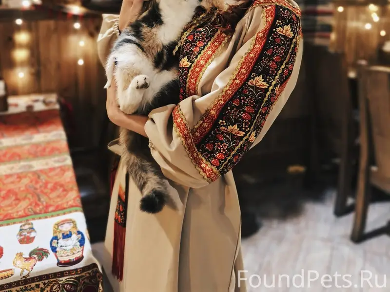 🆘⚡❗ Помогите найти ❗⚡🆘 Пропала...