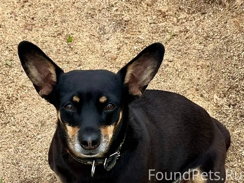 Помогите пожалуйста !!!! Пропа...