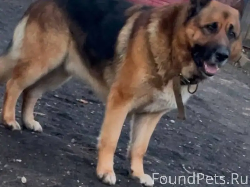 Уважаемые, Можайцы и гости, мо...