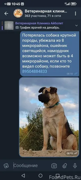 Потеряли собаку