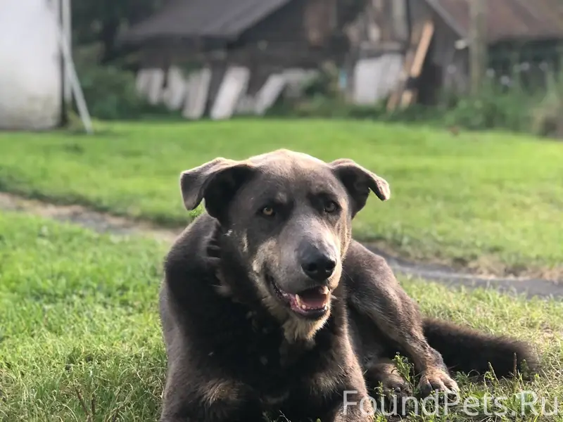 🆘🆘🆘 С 31 декабря на 1...