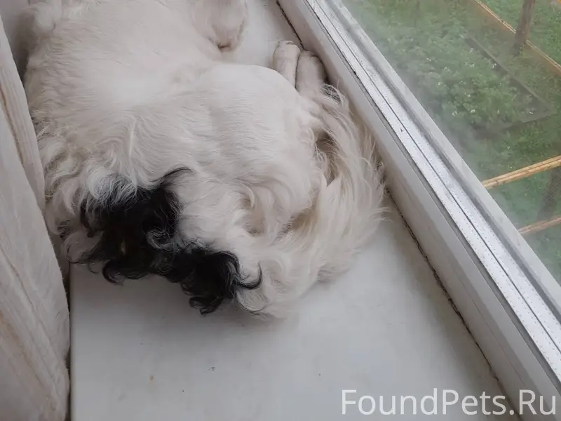 🆘СРОЧНЫЙ ПОСТ🆘 СЕВЕРОДВИНСК! В...