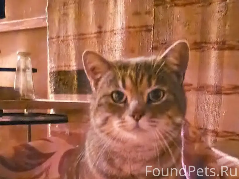 31 декабря у Магнита на Комсом...