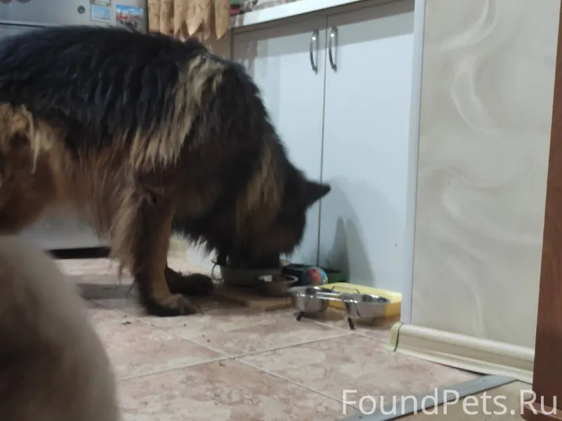 Друзья, поздравляю всех с Новы...