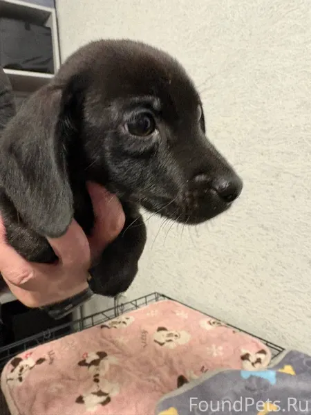 Прошу максимальный репост !!! ...