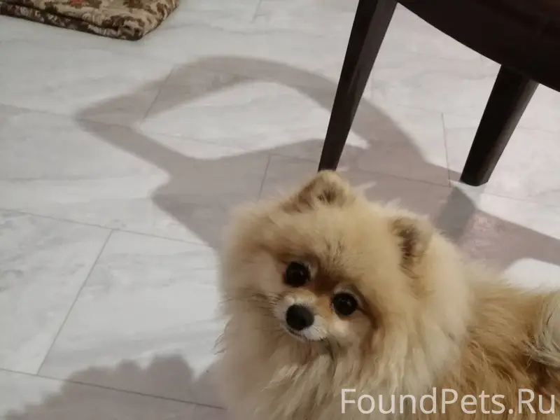 В ночь с 31.12.25...