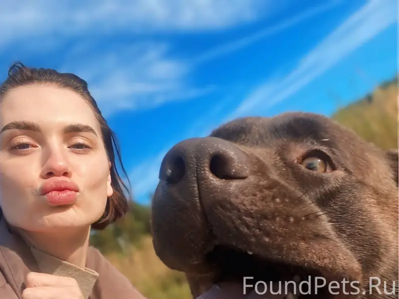 Сбежал пес 😞 Ищем и не...