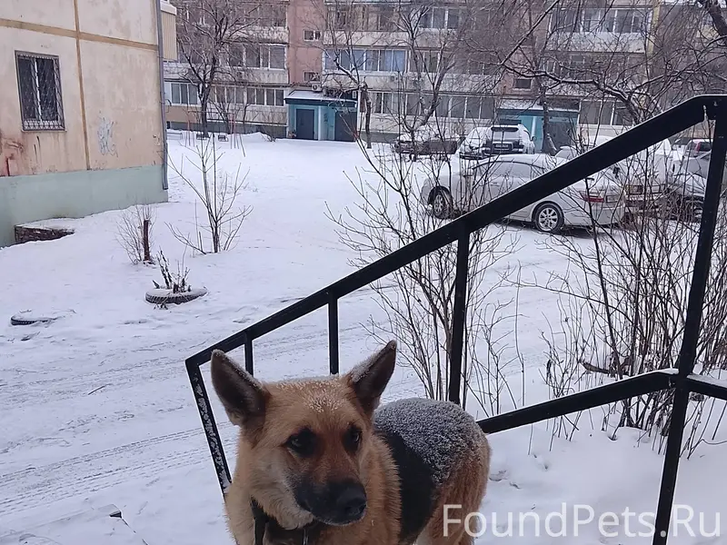 Ребята, пожалуйста максимальны...