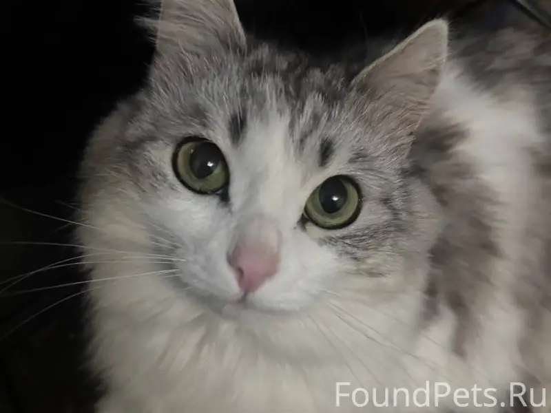 Здравствуйте поздравляю всех с...