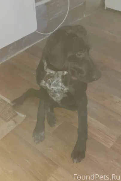 Всех с новым годом поздравляю....