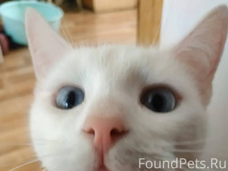 В д. Нижняя Лужна, 30 декабря....