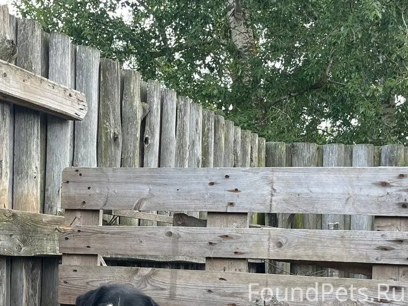 Привет пв 07.01.26 вечером...