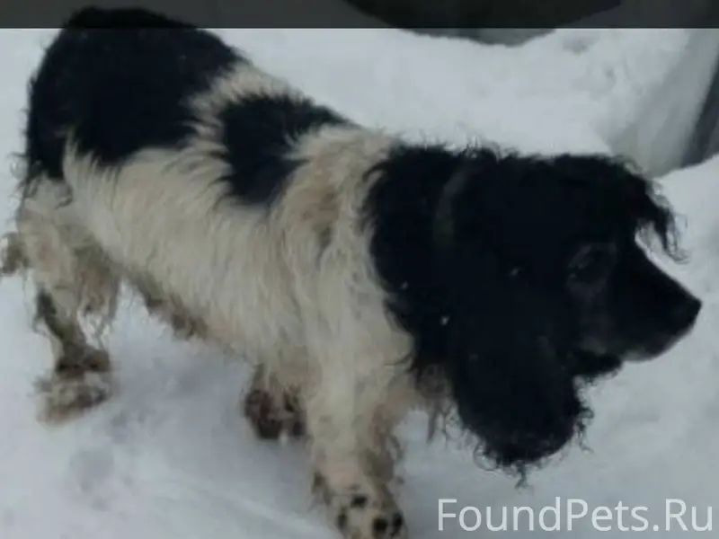 Опубликуйте , пожалуйста !!!🙏 ...