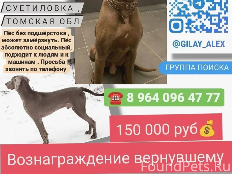 ℹ️ Помогаю информационно ℹ️ По...