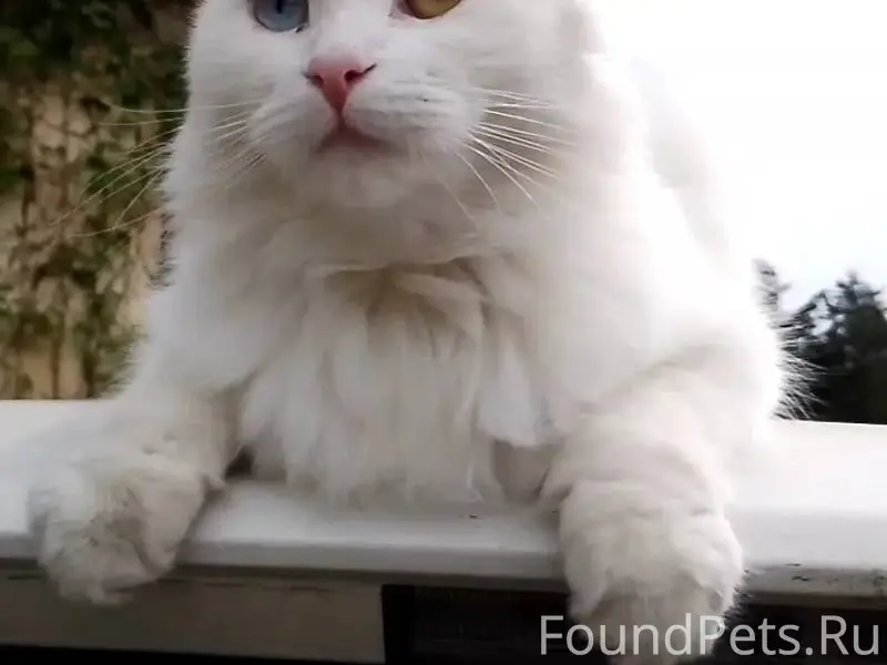 Район Дендрария. Верхняя канат...