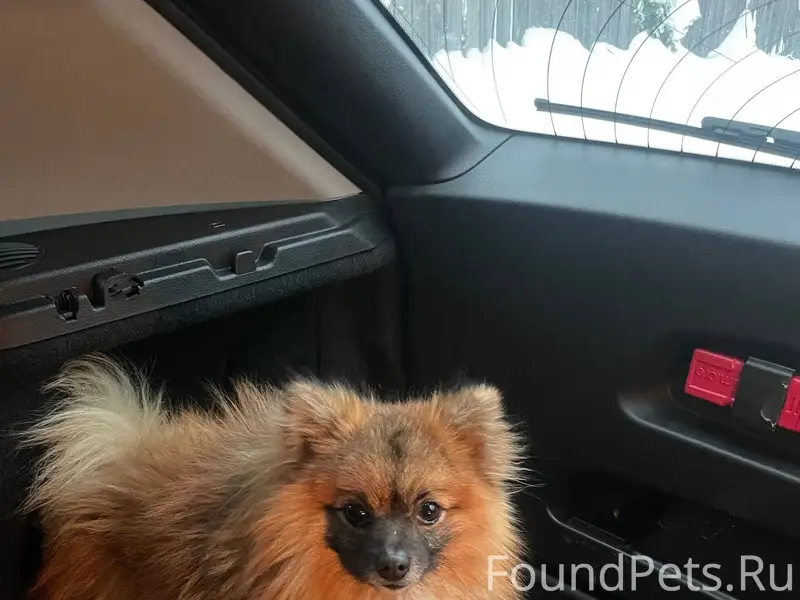 На Западном объезде НАЙДЕН ШПИ...