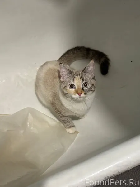 Помогите, пожалуйста! В районе...