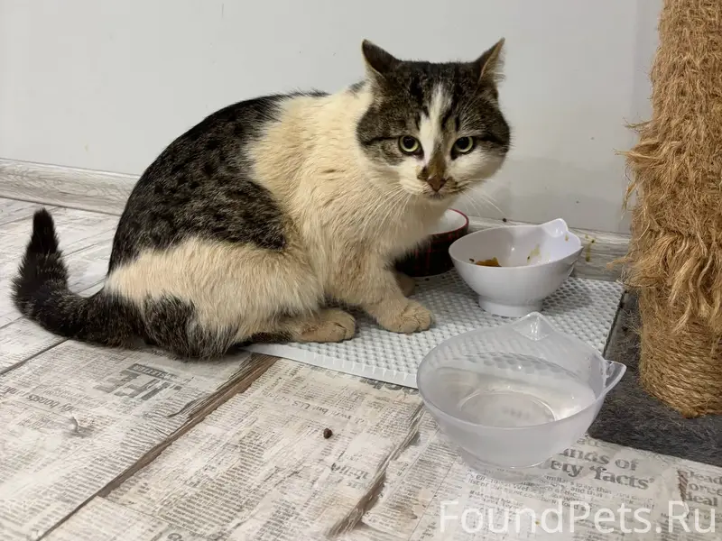 Волгоград Ворошиловский район ...