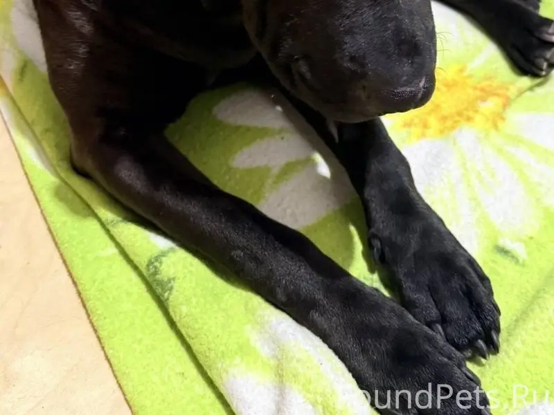 В районе Восточный была найден...