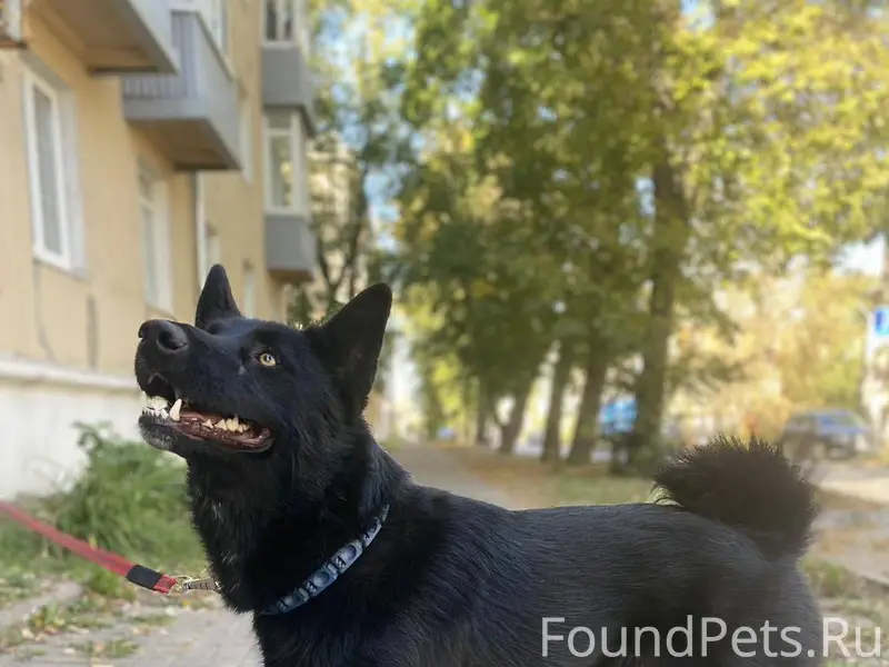 Здравствуйте 10 декабря 24 год...