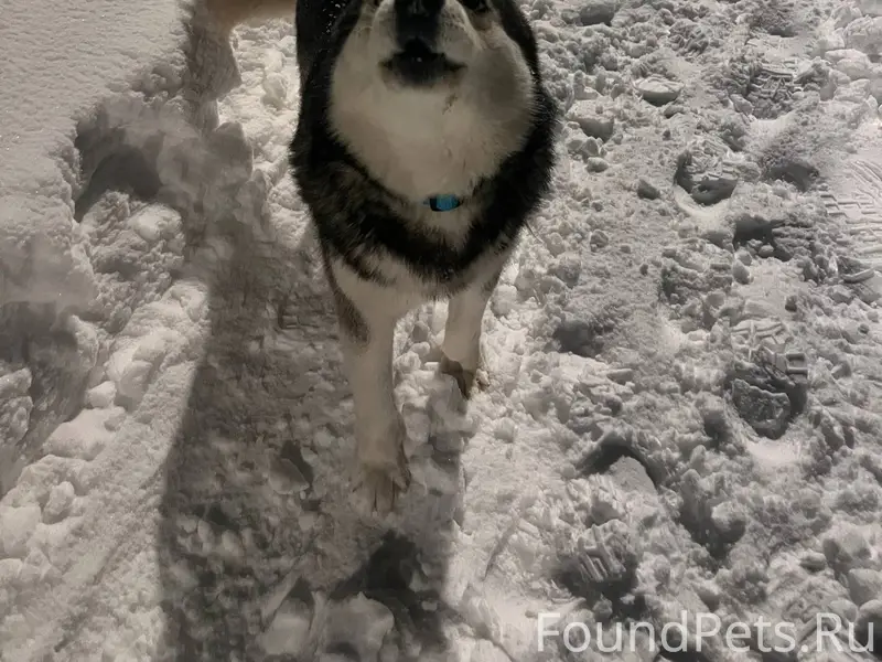 Нужна срочная помощь и передер...