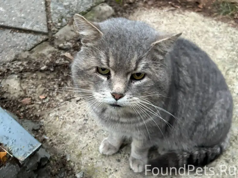 Район Савино, 08.01.2026 пропа...