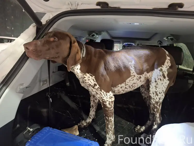 Кострома , Малиновка НАЙДЕН КУ...