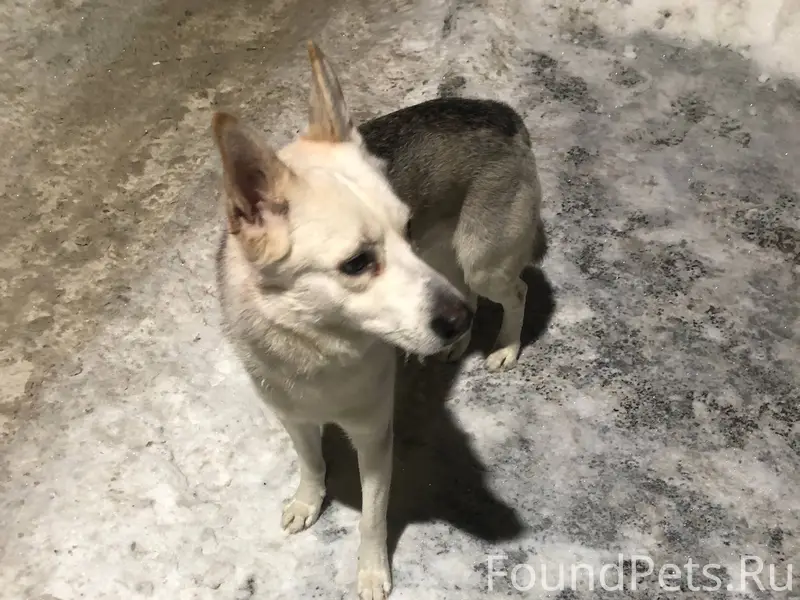 10 января около 20 час На...