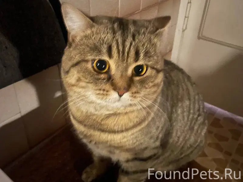 Сегодня в районе 9-10 часов...