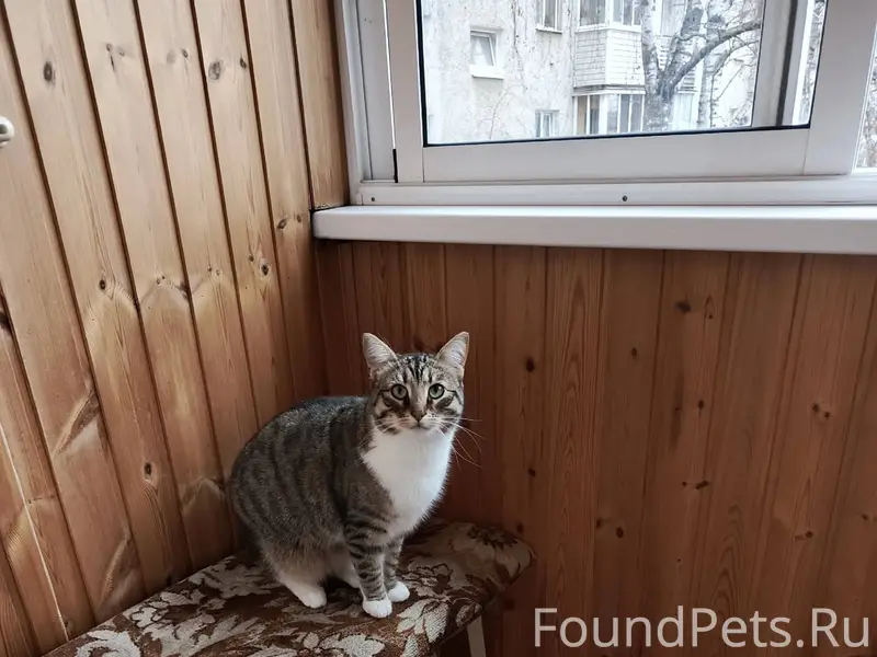 В начале января на ул Гагарина...