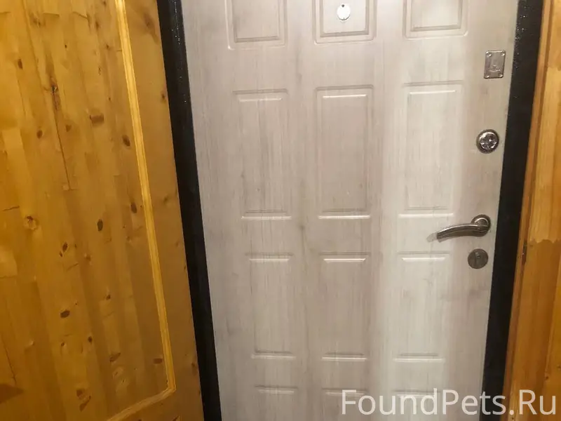 Нашли собаку, в районе Козьей ...