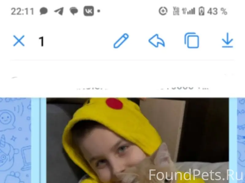 Грязовец ! Пропал маленький ко...