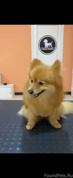 10.01. Около 15 - 19:30...