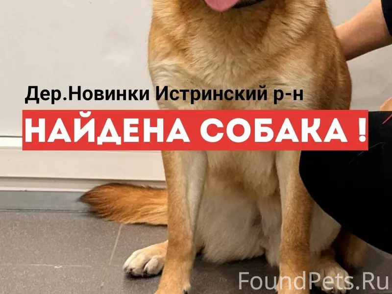 ПРОШУ МАКСИМАЛЬНЫХ РЕПОСТОВ. Э...