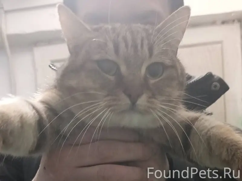 Город Электросталь, улица Крас...