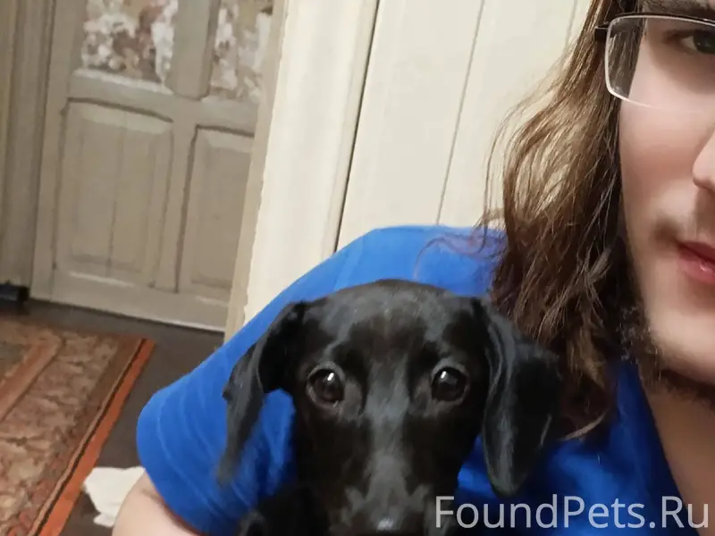 Друзья! Обращаюсь к вам с прос...