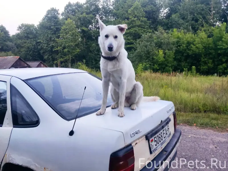 К сожалению, до сих пор не...