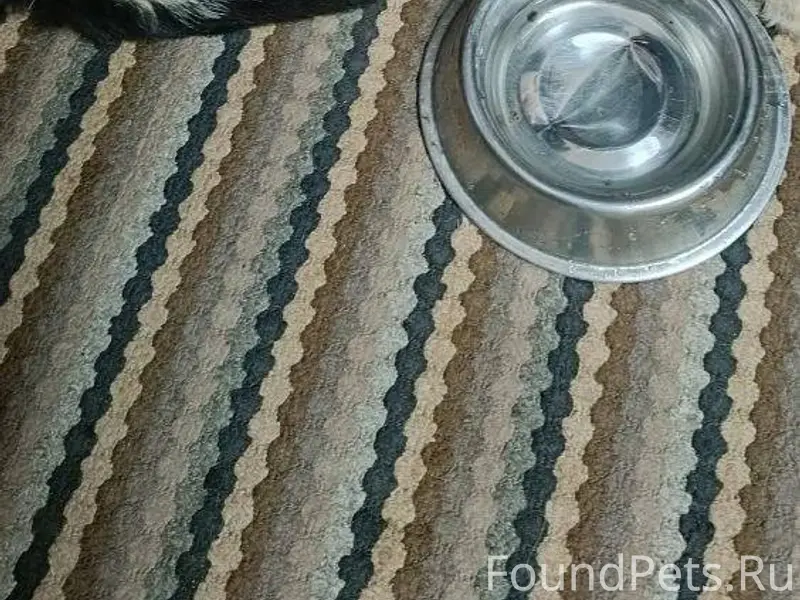 СРОЧНО!!!! Вчера в районе 23:0...