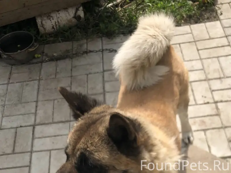 Добрый день ,сегодня ночью убе...