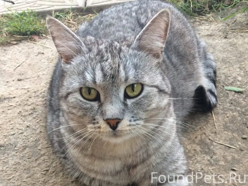 Не теряем надежду найти нашего...