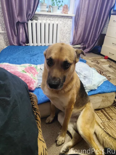 Здравствуйте читатели группы ,...